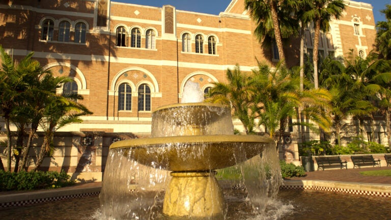 fountain