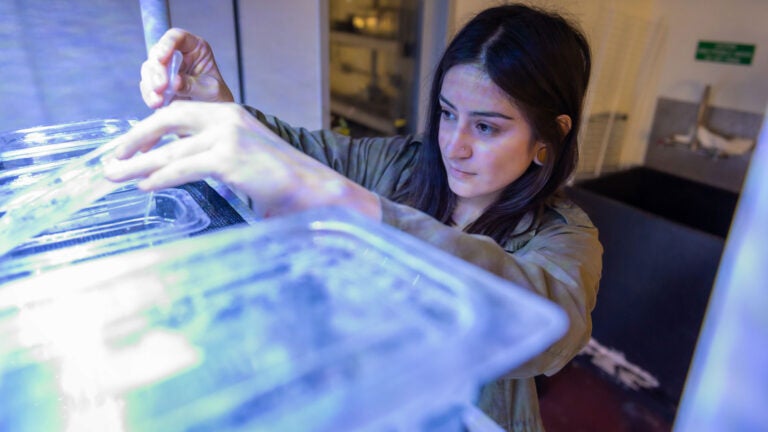 Connie Machuca feeds specimens