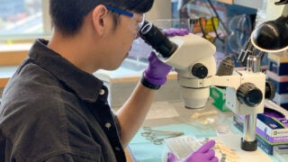 USC alumnus Eric Hoyeon Song, now working in a lab at Yale University, is one of 30 people to receive the 2020 Paul and Daisy Soros Fellowship for New Americans