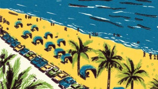 Beach with trees and car parked alongside the road