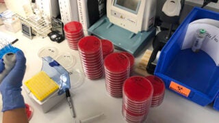 Hospitals reporting shortages of personal protective equipment are looking for ways to sterilize existing equipment. Here, researchers are testing the efficacy of new sterilization boxes created by engineers at USC.