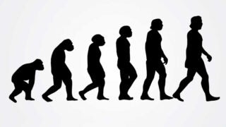 A USC team is working on developing models that focus on Darwinian evolution principles to control tumor growth.