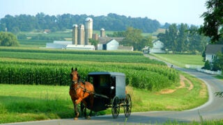Horse drawn carriage