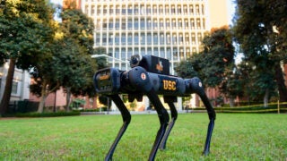 robotic dog