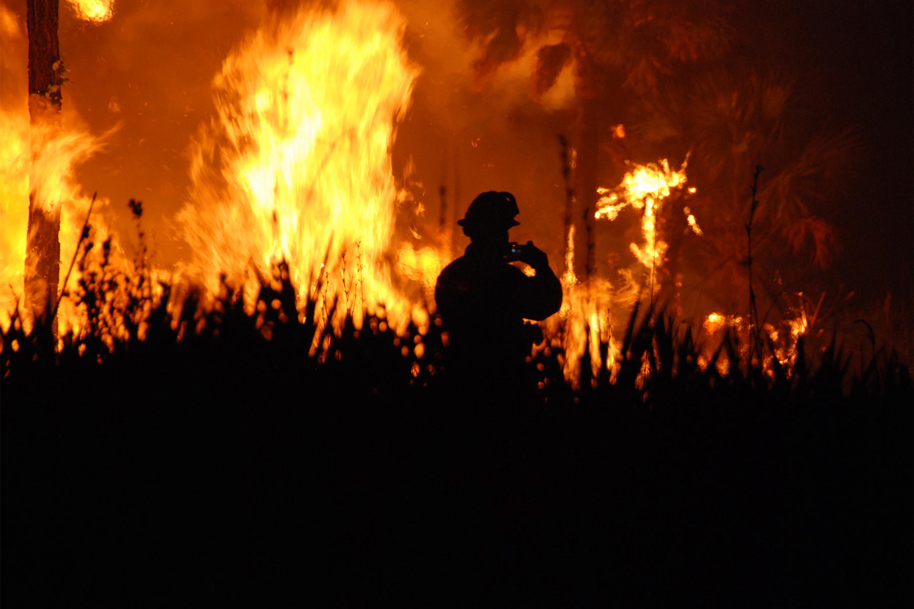 California wildfires