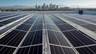solar panels