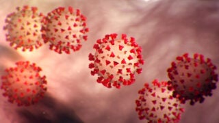 COVID-19 illustration