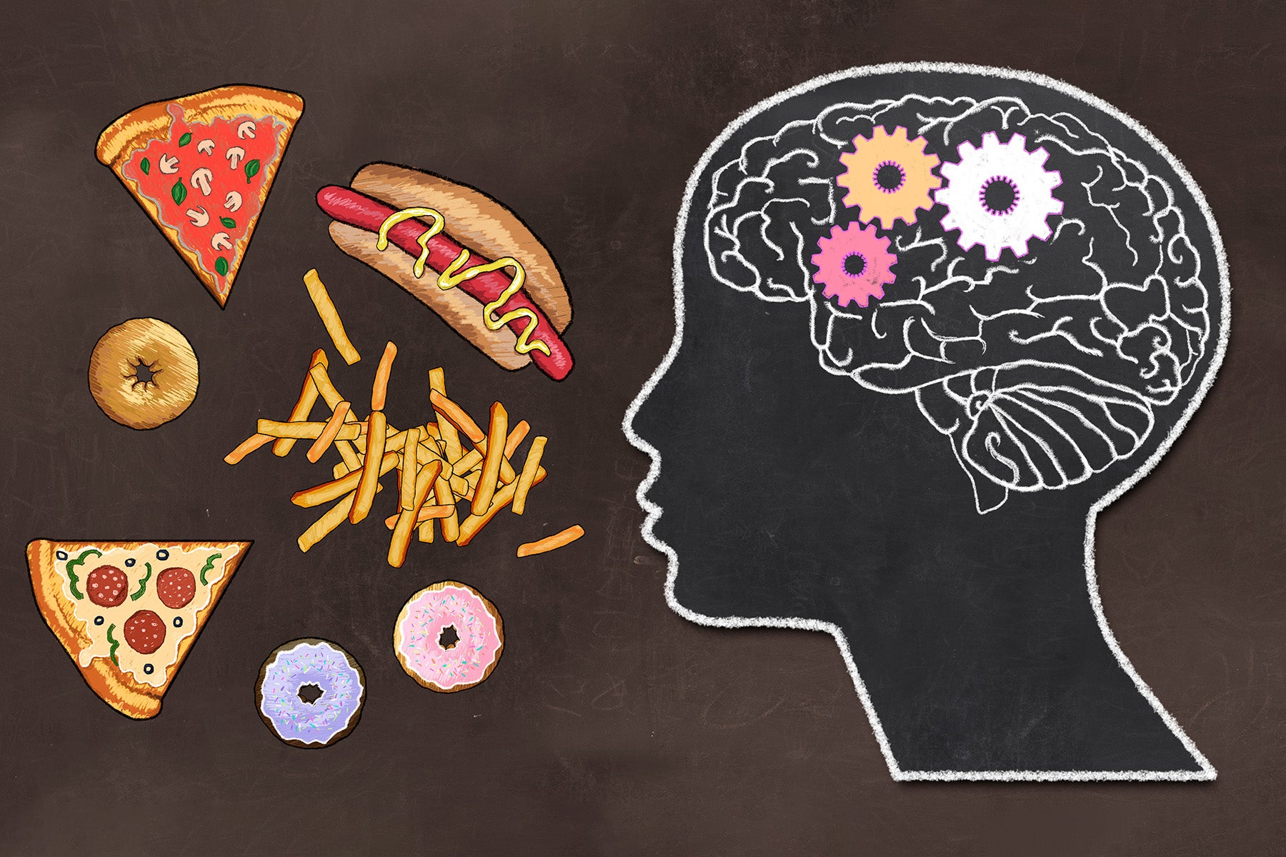 USC Experts Discover Brain Differences In Kids With Binge Eating Disorder