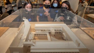 diversity in architecture