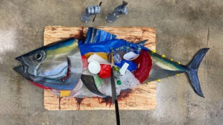 Scale tuna sculpture on a chopping board, composed out of recyclable, unrecyclable, and combustible materials