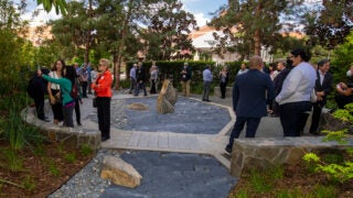 people exploring a rock garden