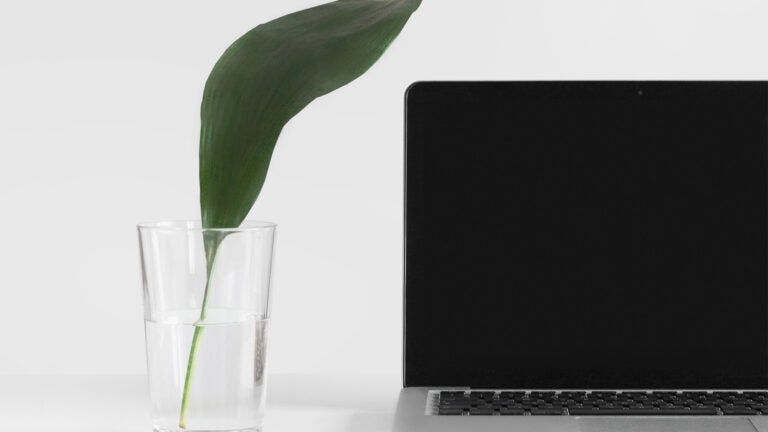 leaf in glass cup next to laptop