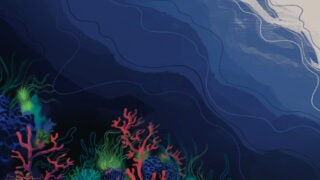 plant life illustration