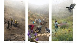 Wildfire rehabilitation