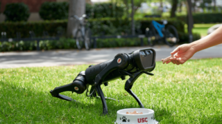 Robot dog being fed a bone