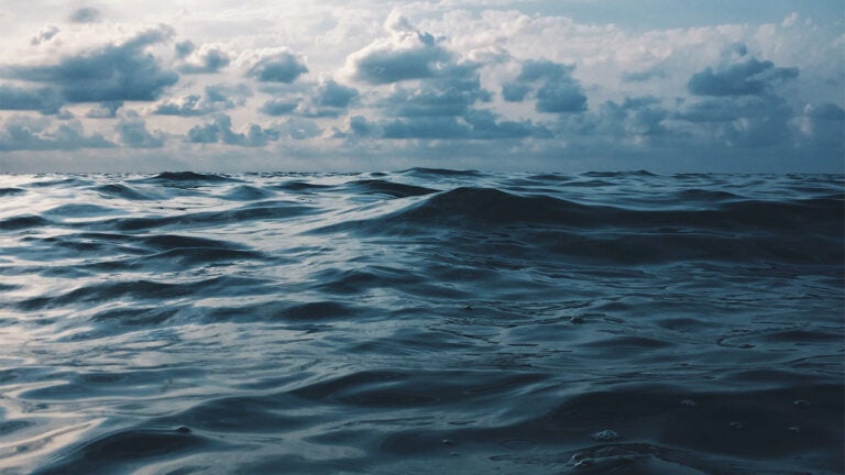 Underwater waves play an important role in oceanic carbon