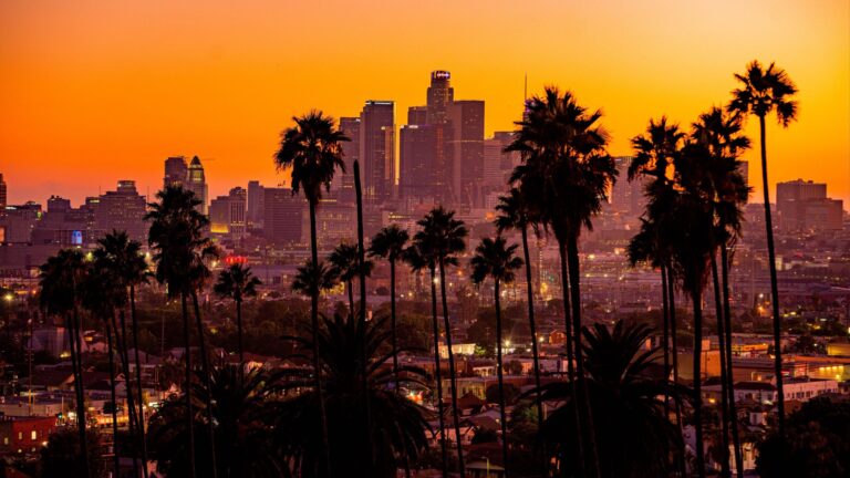 Los Angeles / LA sunset, palm trees and downtown skyline