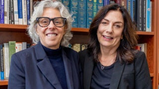 Lee Epstein and Rebecca Brown