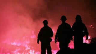 Three firefighters overlooking a forest fire