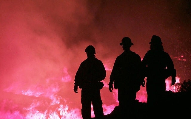 Firefighters in the foreground battling a blazing wildfire.