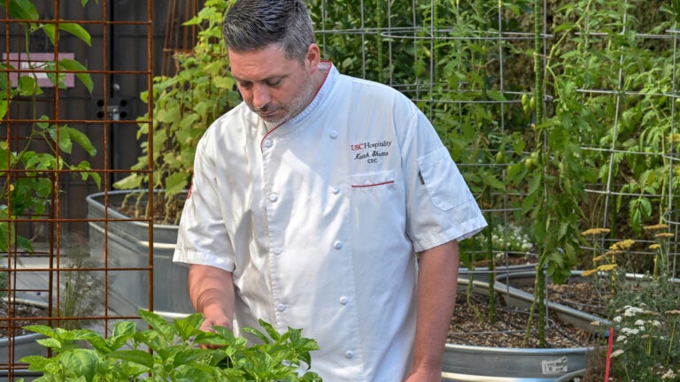 Chef Keith Shutta looks at plants in the USC Hotel Garden