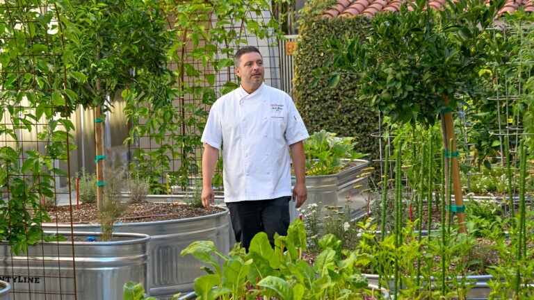 Keith Shutta in USC Hotel Garden