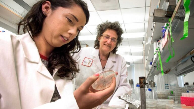 amanda jensen in forsburg lab
