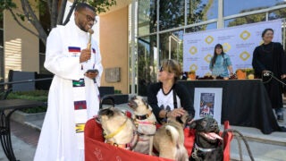 USC Blessing of the Animals: The Rev. Brandon Harris with Robin Mitchell Stroud’s wagonful of pugs