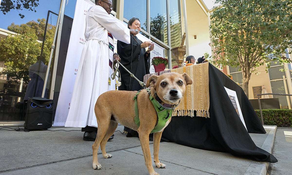 USC Blessing of the Animals: Spider, a 7-year-old mixed breed