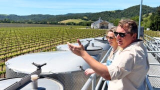 Canon Thomas and Jacob Vogel in Napa vineyards