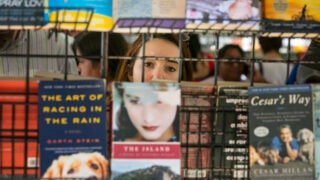 Person surrounded by books