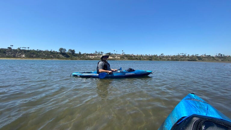 Blue carbon capture: fieldwork