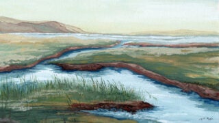 Blue carbon capture: Painting of coastal wetlands at Upper Newport Bay