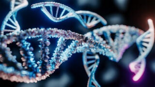 USC researchers develop AI model that predicts the accuracy of protein–DNA binding