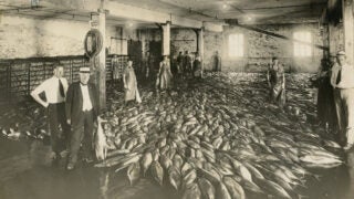 Historic image of Terminal Island