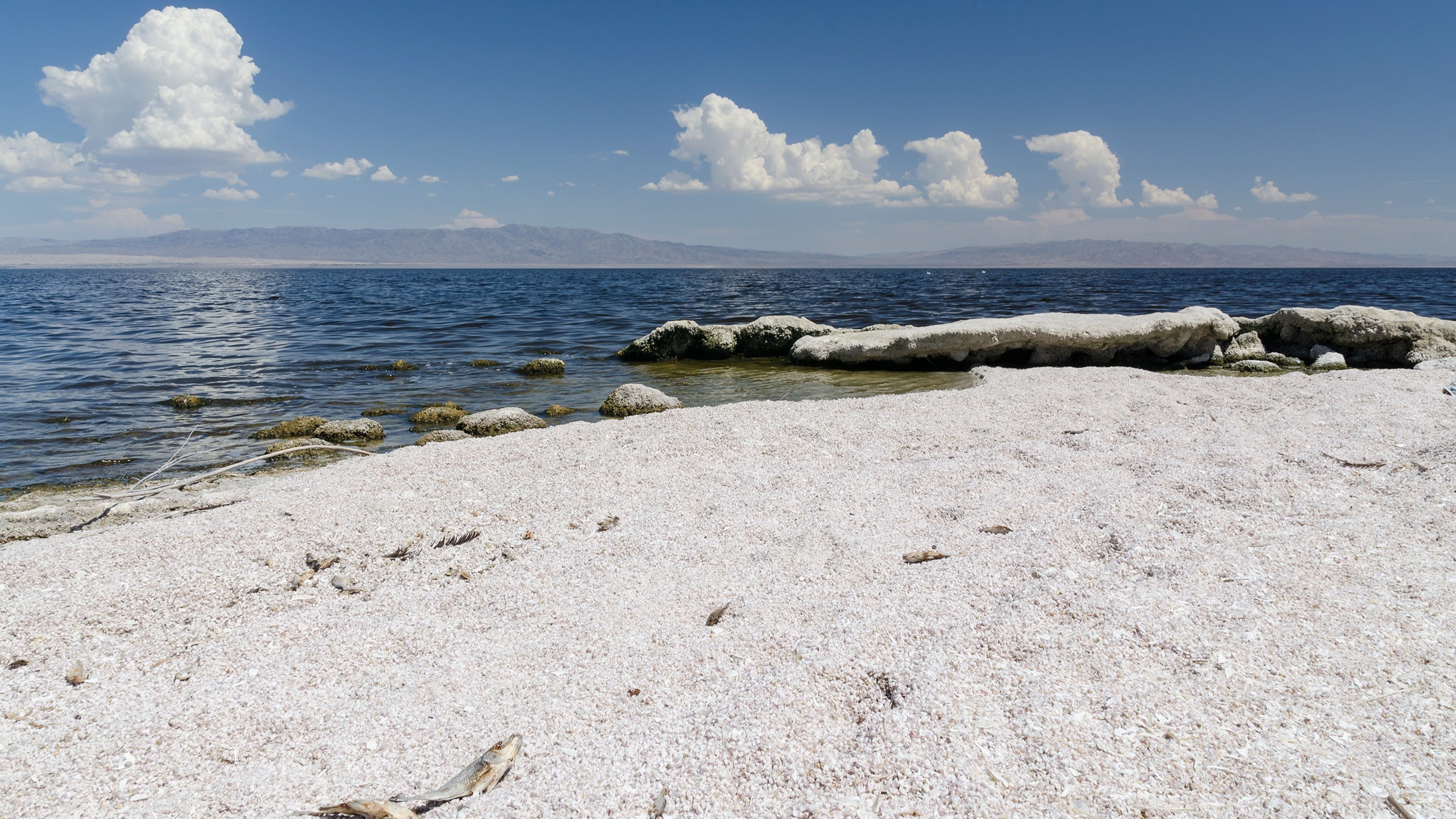 Salton_Sea_03_2013