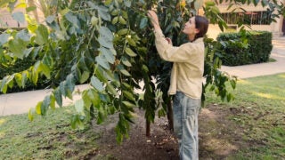Mindful USC “Sense and Savor” nature walk: Sophia Hammer