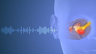 Hearing illustration