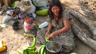 Tsimane woman scooping out bananas