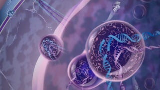 Cellular mechanism