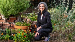 Mahta Moghaddam describes herself as “a tech person who works with scientists to help them get better data so they can make more informed decisions.” (Photo/Gus Ruelas)