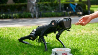 Robot dog on green grass being fed a bone by a human