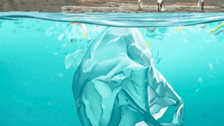 Individuals picking up trash near the ocean while trash floats under the surface of the water into an iceberg