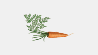 Illustration of an orange carrot with green leaves on a light gray background