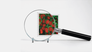 Illustration of tiny scientists looking through a magnifying glass at a stamp with a photo of cancer on a light gray background