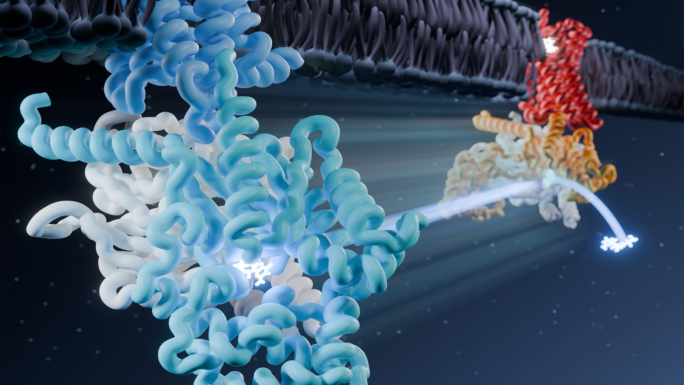 gati-mu-opioid-receptor-central