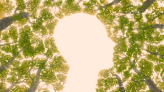 Illustration: Outline of a person amid trees
