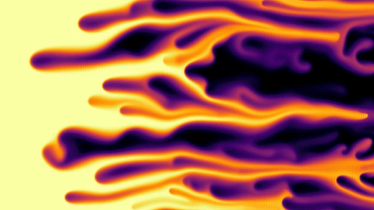 m55_t106_dns_frame_1_uscn