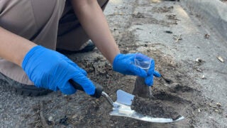 USC Dornsife’s post-wildfire lead testing initiative grows in and beyond L.A. County